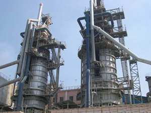 ���ɹ����G����