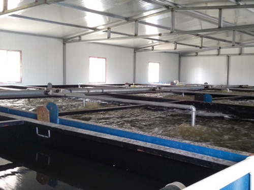 ������ˮ̎���O��