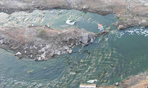 ���(zh��n)ˮ��Ⱦ�DƬ