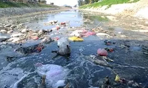 嚴(yán)重水污染 嚴(yán)重水污染