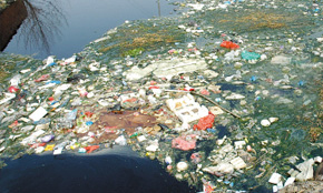 ��(y��n)��ˮ��Ⱦ�DƬ