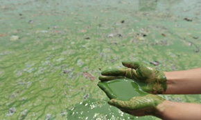 ˮ�|(zh��)��Ⱦ�DƬ