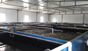 ��ˮ̎��վ�\(y��n)�Р�B(t��i)