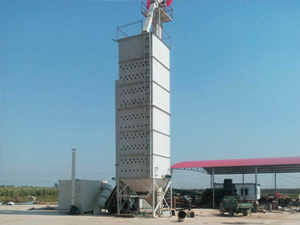 ��ʽ�����